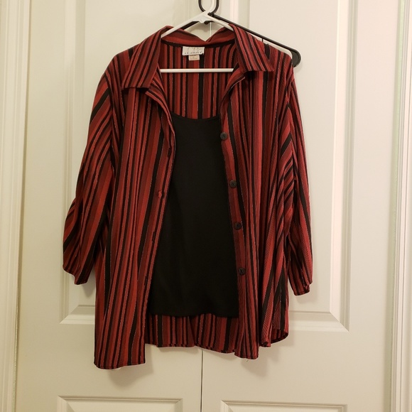 C.B. Collections Black and Red Stripe Blouse - Picture 2 of 2